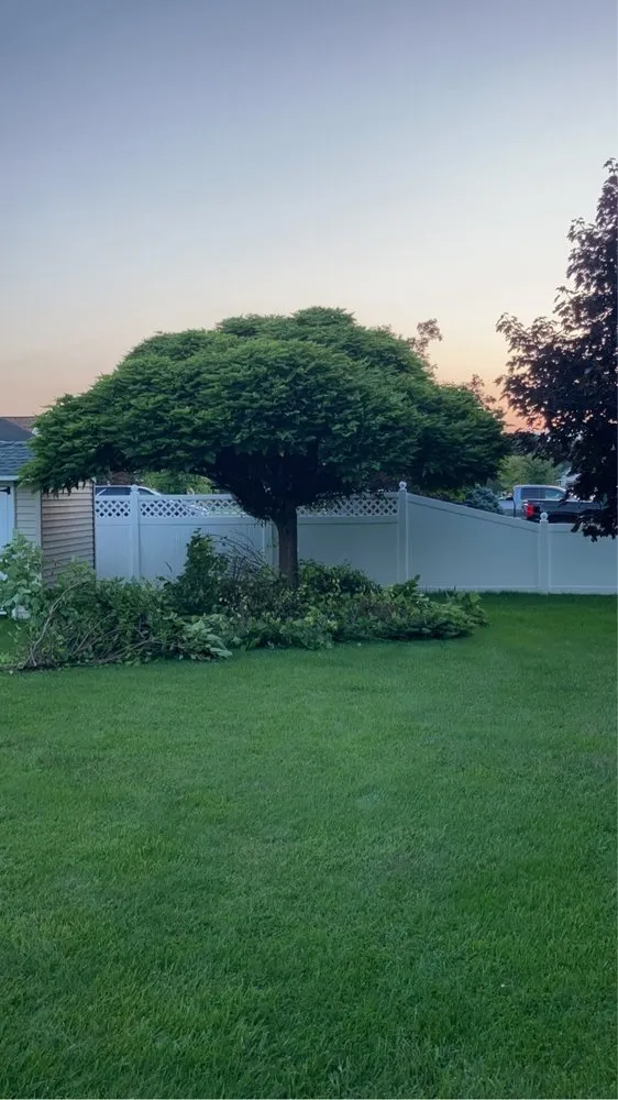 Trusted residential landscaping experts serving North Tonawanda, NY - Joeys Landscaping and Lawncare