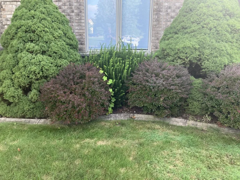 Local landscaping services experts serving North Tonawanda, NY - Joeys Landscaping and Lawncare
