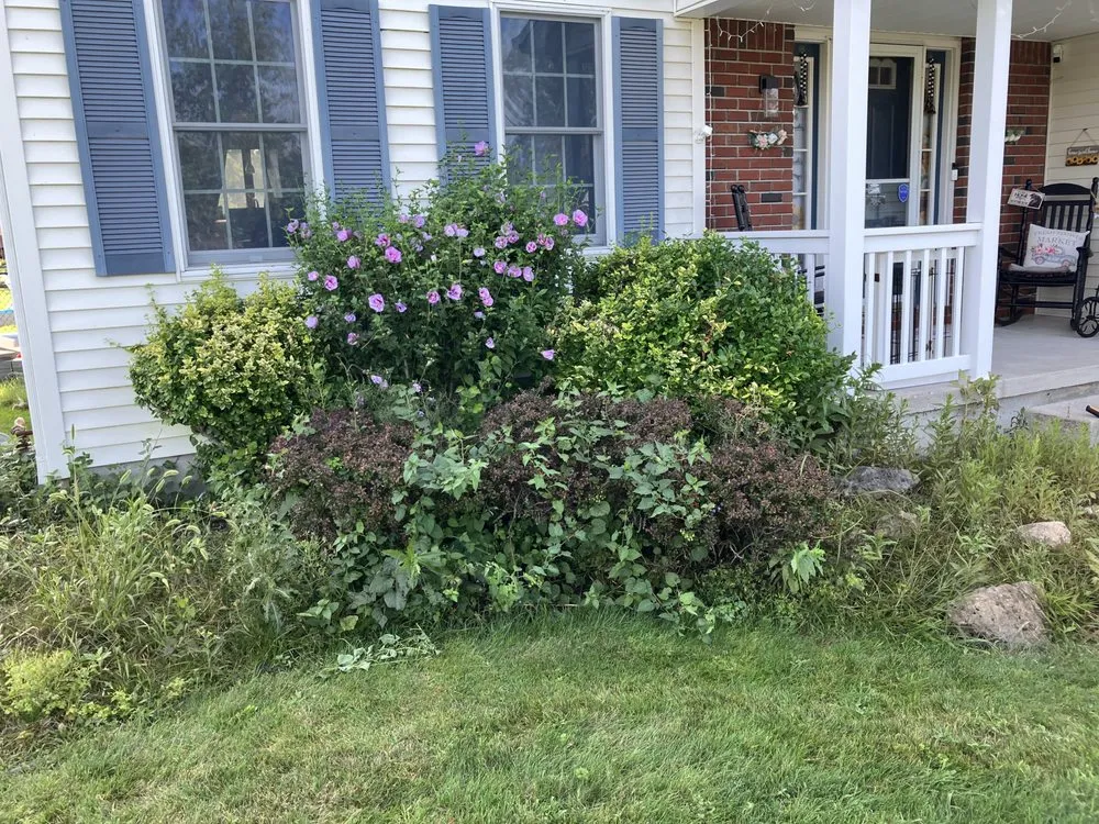 Expert landscape design in North Tonawanda, NY - Joeys Landscaping and Lawncare