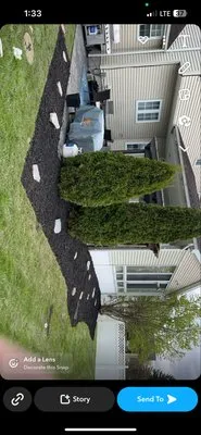 Joeys Landscaping and Lawncare Logo