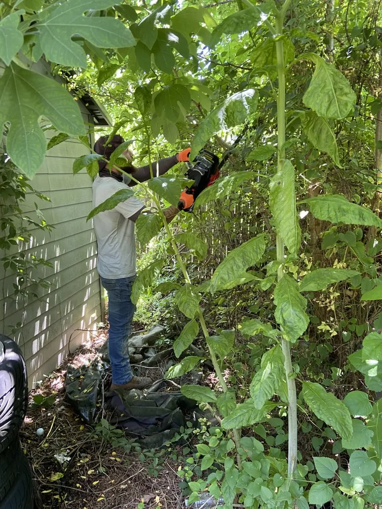 Top-rated garden landscaping experts serving Egg Harbor City, NJ - Joeys Landscaping