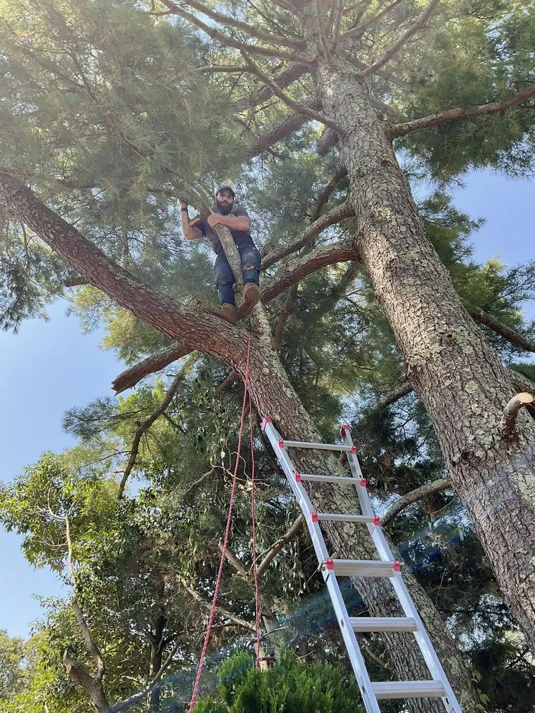 Affordable yard maintenance in Egg Harbor City, NJ - Joeys Landscaping