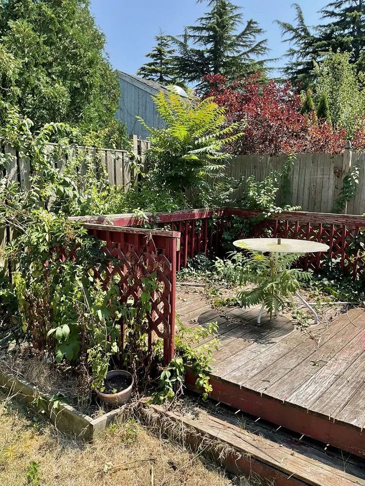 Expert landscaping services for year-round maintenance across Egg Harbor City, NJ - Joeys Landscaping