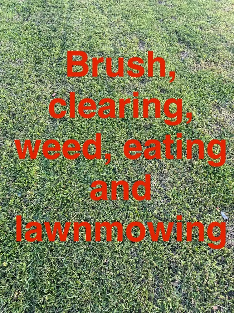 Top-rated landscape design in San Antonio, TX by Joeys Lawn And Brush Clearing