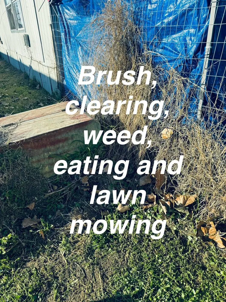 Local landscape installation in San Antonio, TX by Joeys Lawn And Brush Clearing