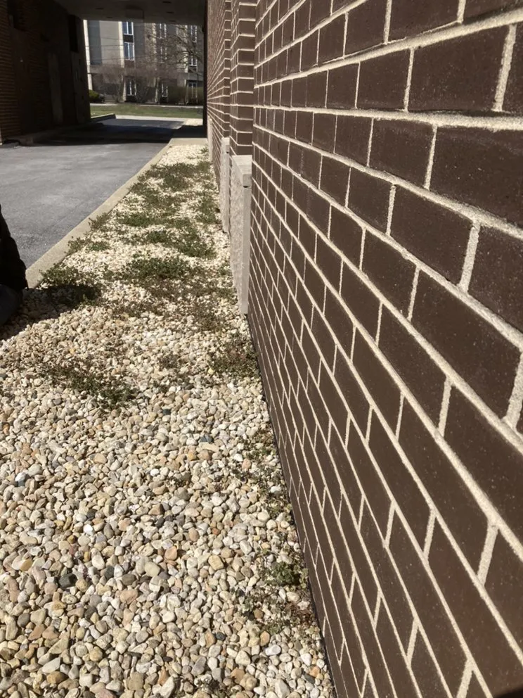 Expert lawn mowing service in Hammond, IN - Joeys lawn care