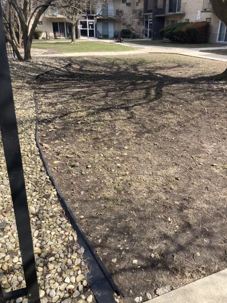 Reliable lawn care service in Hammond, IN by Joeys lawn care