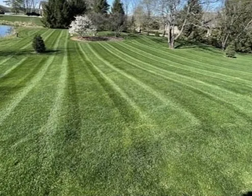 Expert landscaping services experts serving Hammond, IN - Joeys lawn care