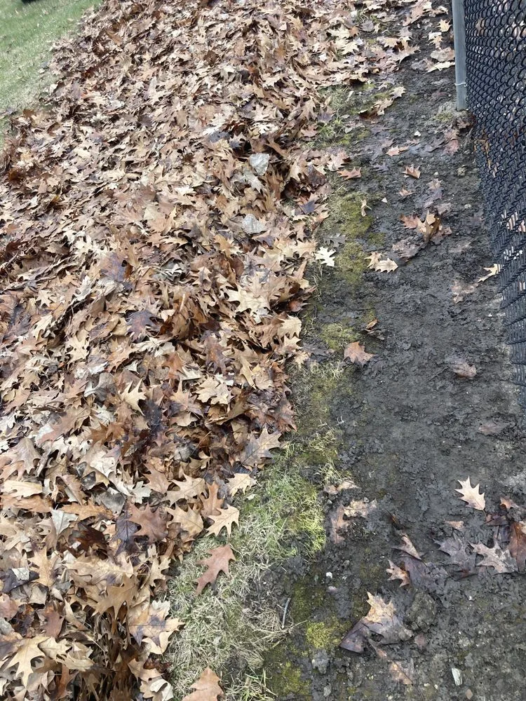 Top-rated residential landscaping experts serving Hammond, IN - Joeys lawn care