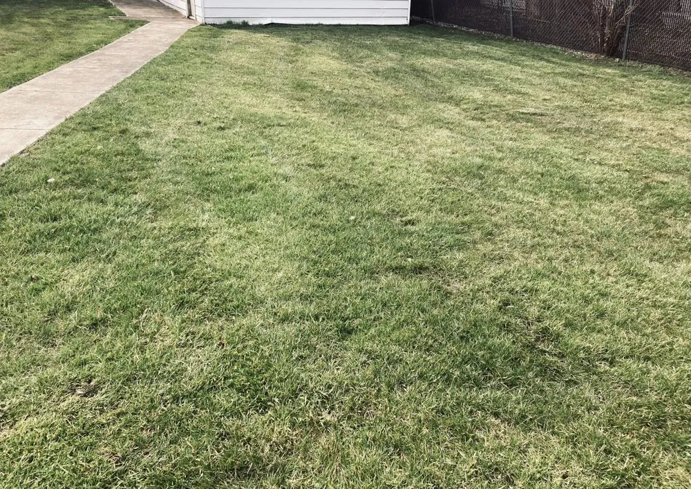 Custom garden landscaping in Hammond, IN by Joeys lawn care