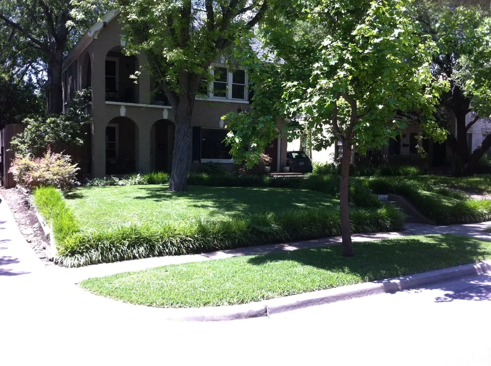 Trusted lawn care service in Dallas, TX - Joey's Lawn Mowing