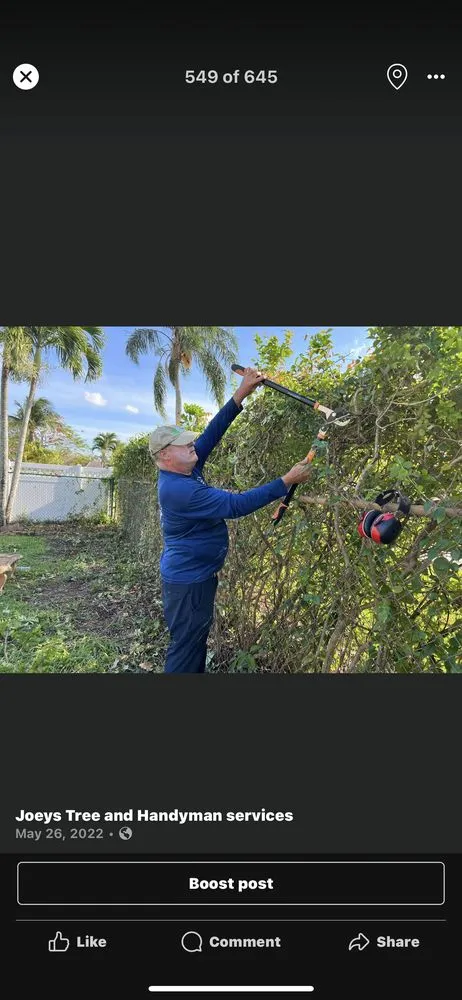 Affordable lawn mowing service for outdoor upgrades across Coral Springs, FL - Joeys Tree And Handyman Services