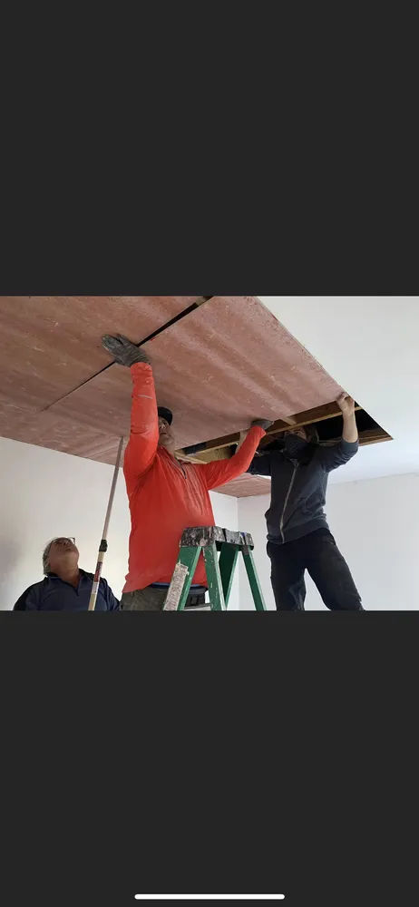 Professional yard maintenance experts serving Coral Springs, FL - Joeys Tree And Handyman Services