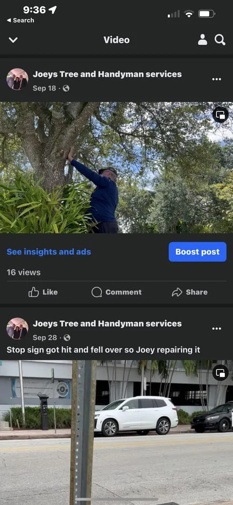 Expert garden landscaping in Coral Springs, FL by Joeys Tree And Handyman Services