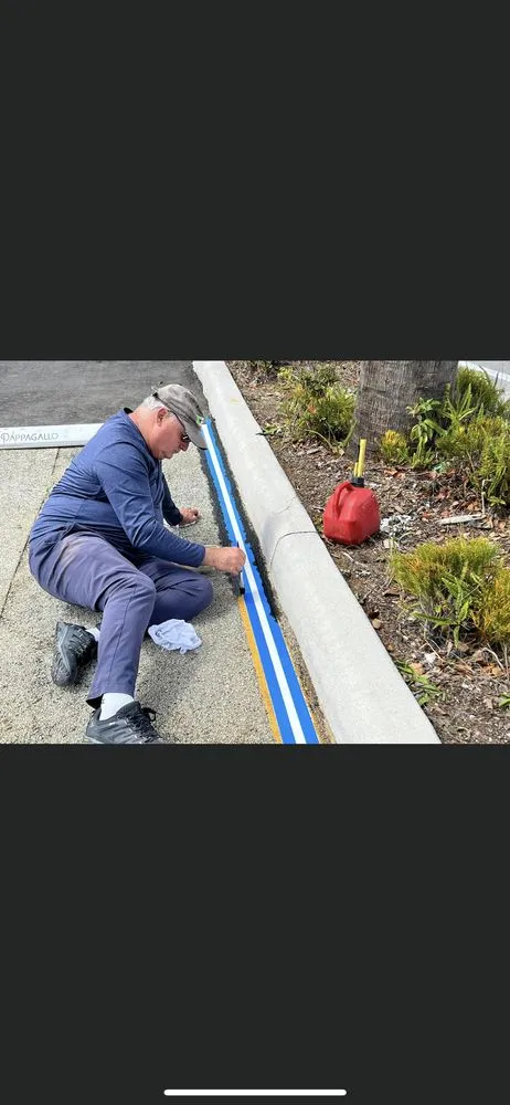 Expert yard cleanup service experts serving Coral Springs, FL - Joeys Tree And Handyman Services