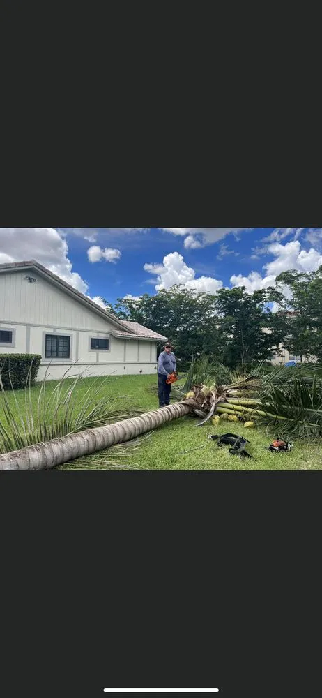 Expert yard maintenance experts serving Coral Springs, FL - Joeys Tree And Handyman Services