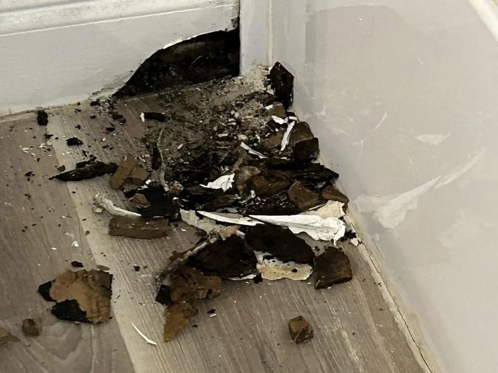 Local outdoor landscaping for beautiful yards across Coral Springs, FL - Joeys Tree And Handyman Services