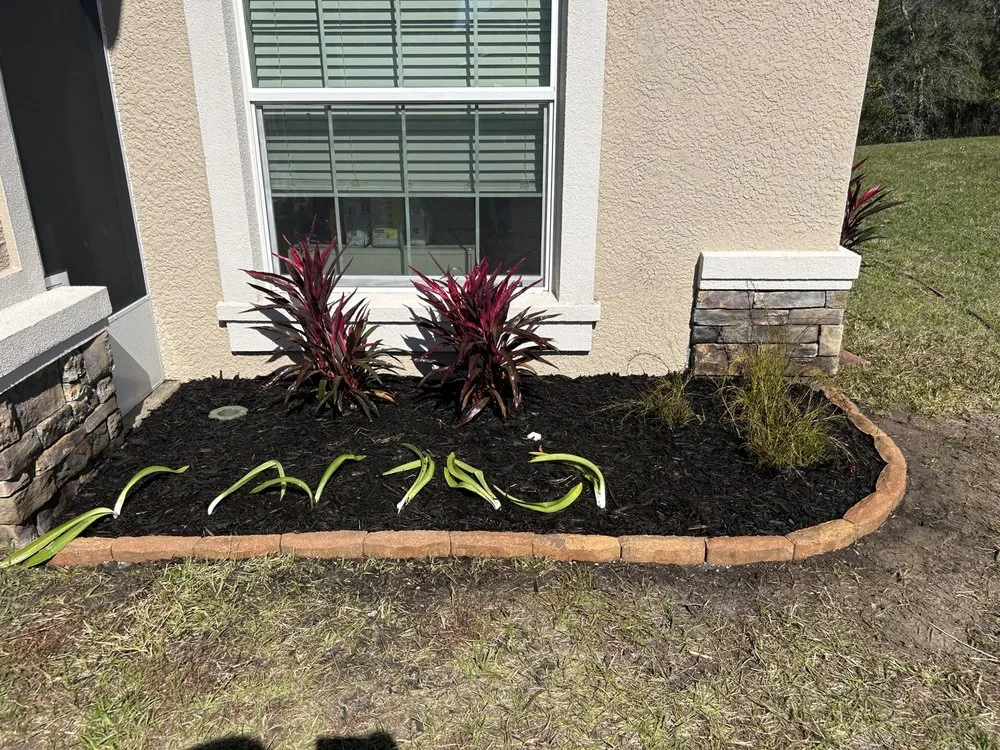 Reliable yard cleanup service experts serving Springhill, FL - Joey's Weeding and Landscaping