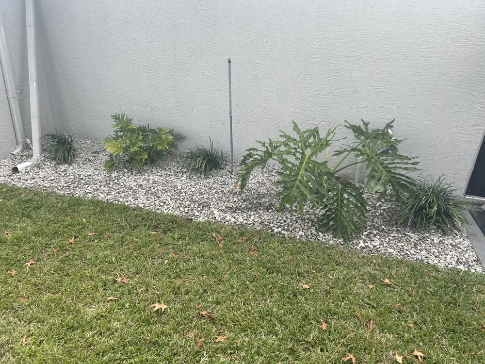 Custom landscaping services experts serving Springhill, FL - Joey's Weeding and Landscaping