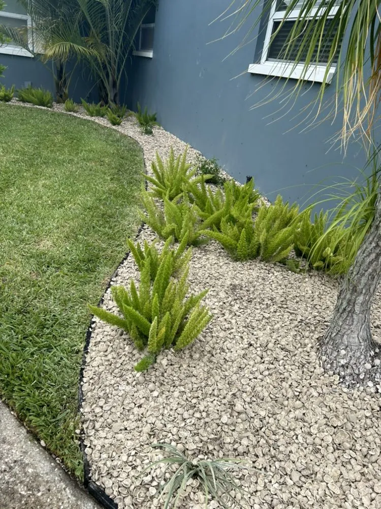 Custom outdoor landscaping in Springhill, FL - Joey's Weeding and Landscaping