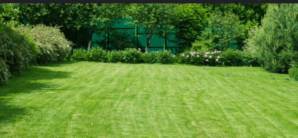 Professional landscaping services in Westerville, OH by JoeySCape