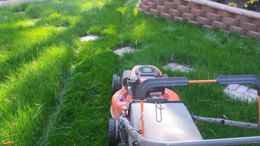 Professional garden landscaping in Creemoor, NC - Jofmar Landscaping