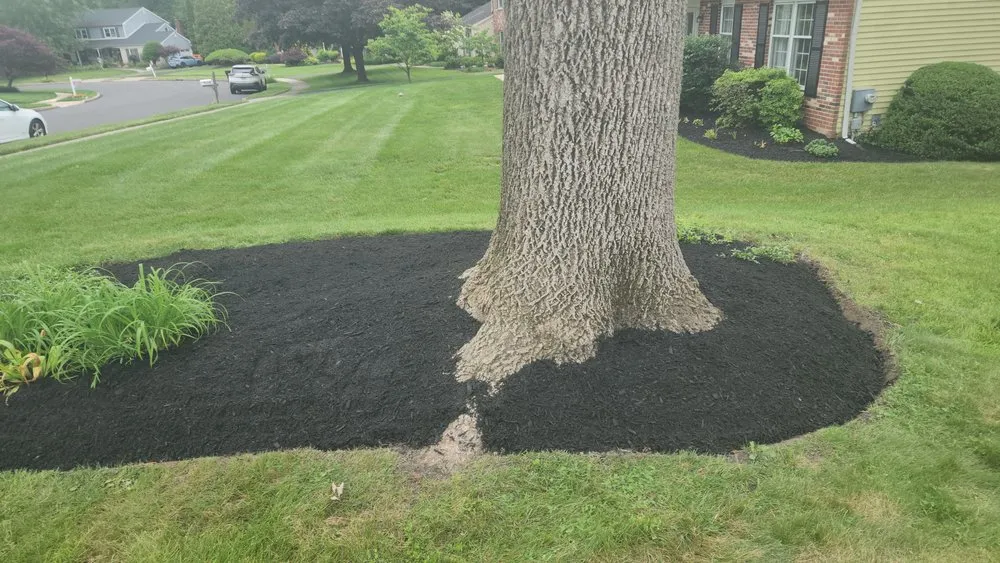 Professional landscape installation in Hamilton Township, NJ - Jofranto Landscaping Lawn Service