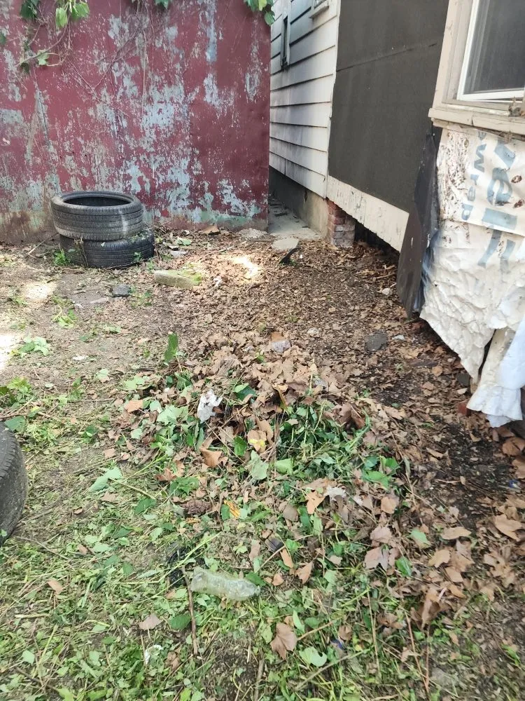 Professional yard cleanup service in Hamilton Township, NJ - Jofranto Landscaping Lawn Service