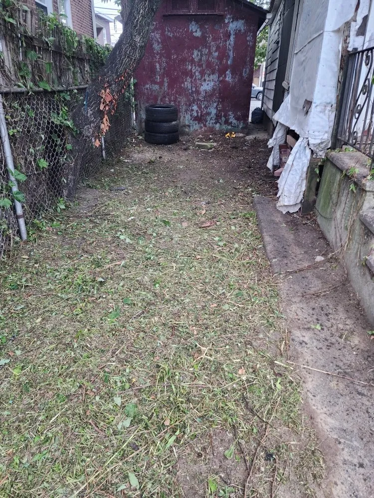 Top-rated lawn care service for year-round maintenance in Hamilton Township, NJ by Jofranto Landscaping Lawn Service
