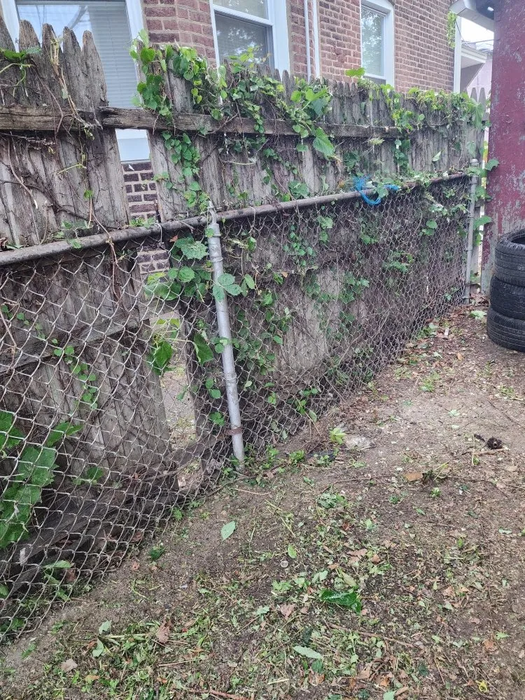 Custom lawn care service in Hamilton Township, NJ by Jofranto Landscaping Lawn Service