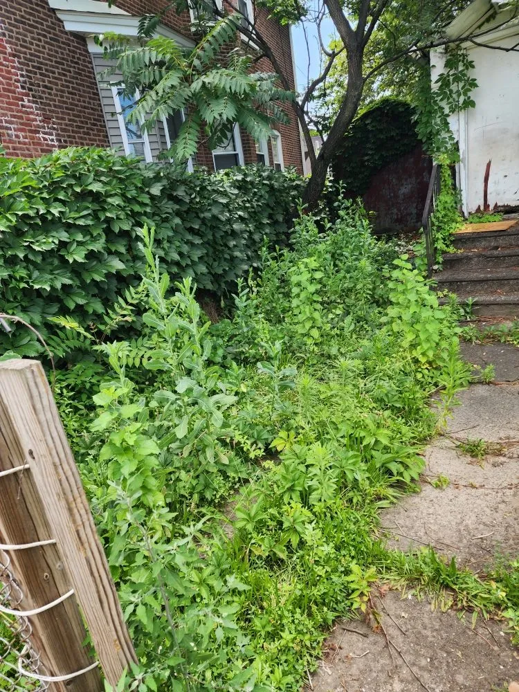 Custom garden landscaping in Hamilton Township, NJ by Jofranto Landscaping Lawn Service