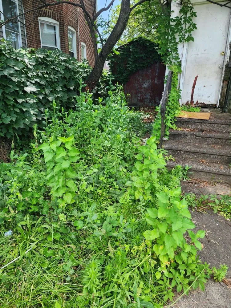 Local landscape design in Hamilton Township, NJ - Jofranto Landscaping Lawn Service