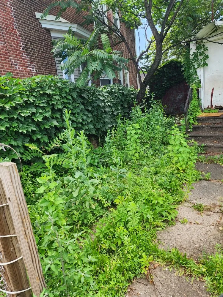 Professional garden landscaping experts serving Hamilton Township, NJ - Jofranto Landscaping Lawn Service