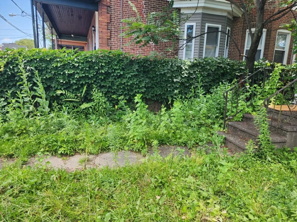 Reliable landscape installation in Hamilton Township, NJ by Jofranto Landscaping Lawn Service