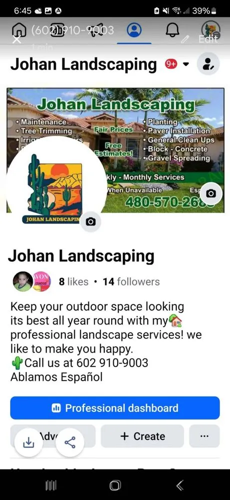 Reliable landscape design near you in Avondale, AZ by Johan Landscaping