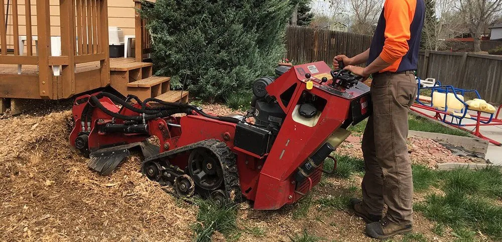 Affordable outdoor landscaping in High Ridge, MO - Johannes Lawn Care