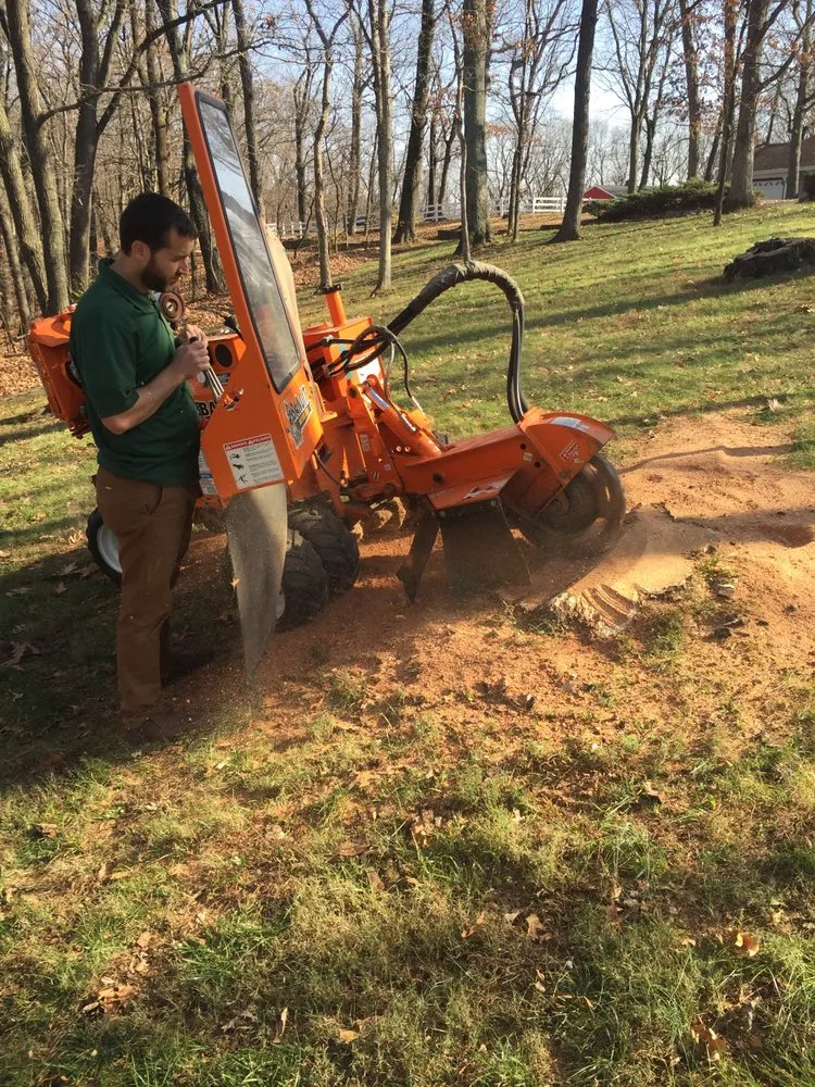 Affordable garden landscaping in High Ridge, MO - Johannes Lawn Care