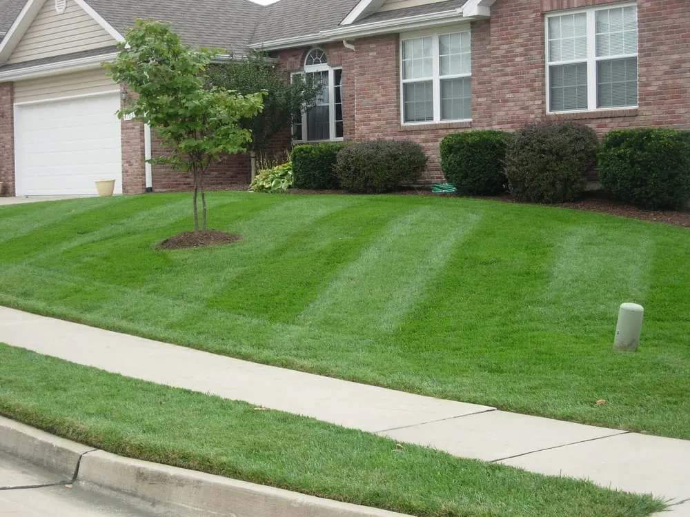 Professional lawn mowing service in High Ridge, MO - Johannes Lawn Care