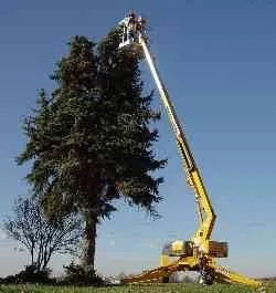 Custom landscape design experts serving High Ridge, MO - Johannes Lawn Care