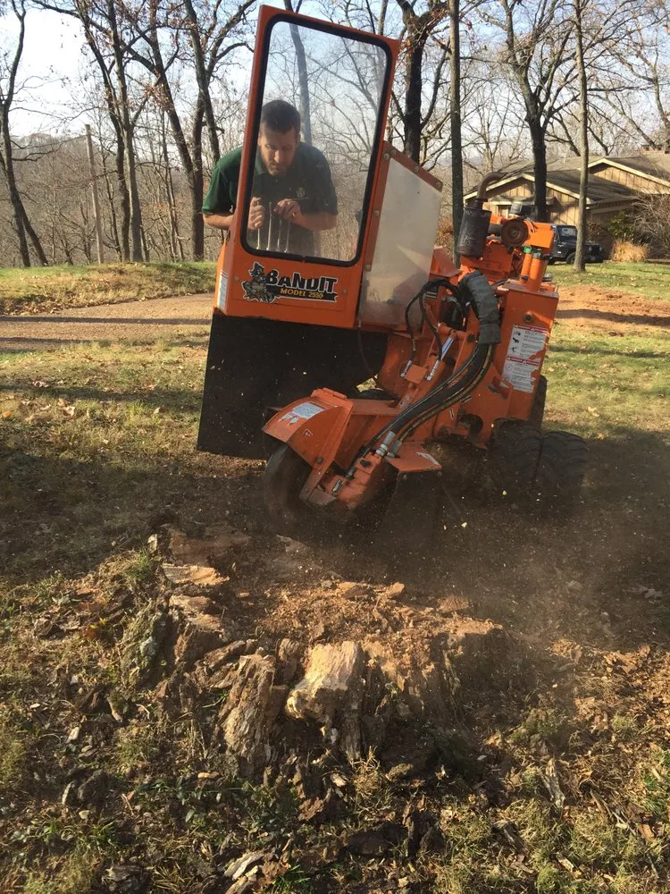 Expert yard cleanup service in High Ridge, MO by Johannes Lawn Care