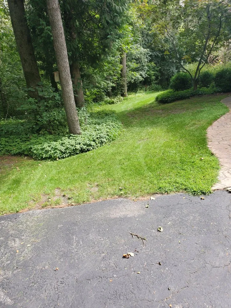 Reliable landscaping services for year-round maintenance in New Holstein, WI by Johanning's Just About Anything