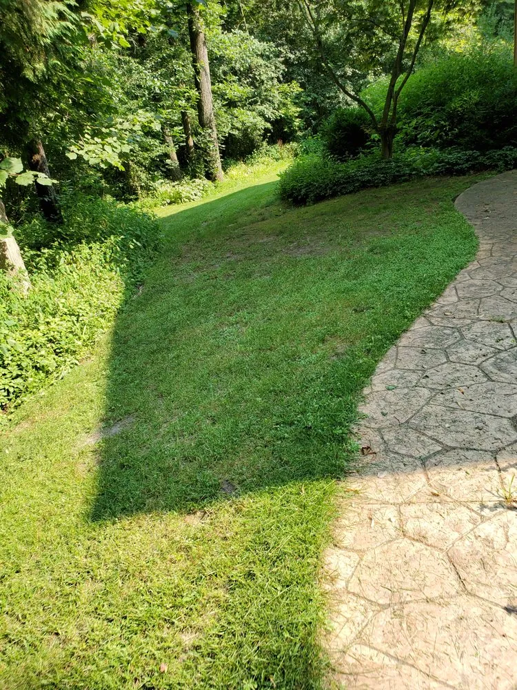 Affordable landscape design experts serving New Holstein, WI - Johanning's Just About Anything