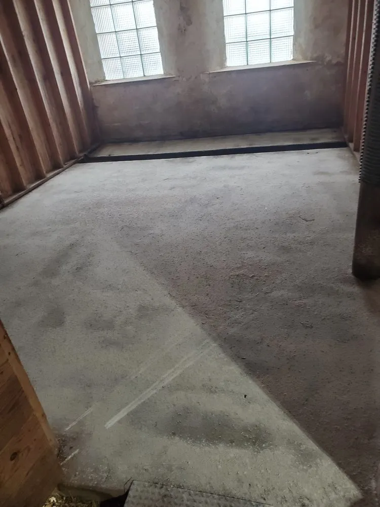 Reliable yard cleanup service for year-round maintenance in New Holstein, WI by Johanning's Just About Anything