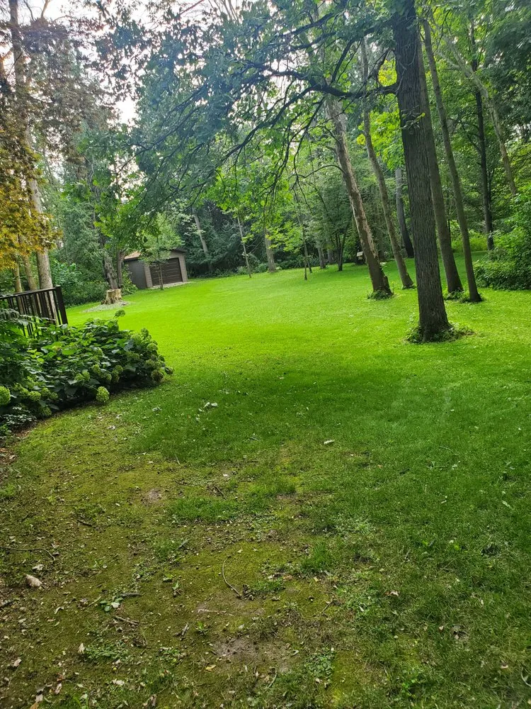 Professional landscape design in New Holstein, WI by Johanning's Just About Anything