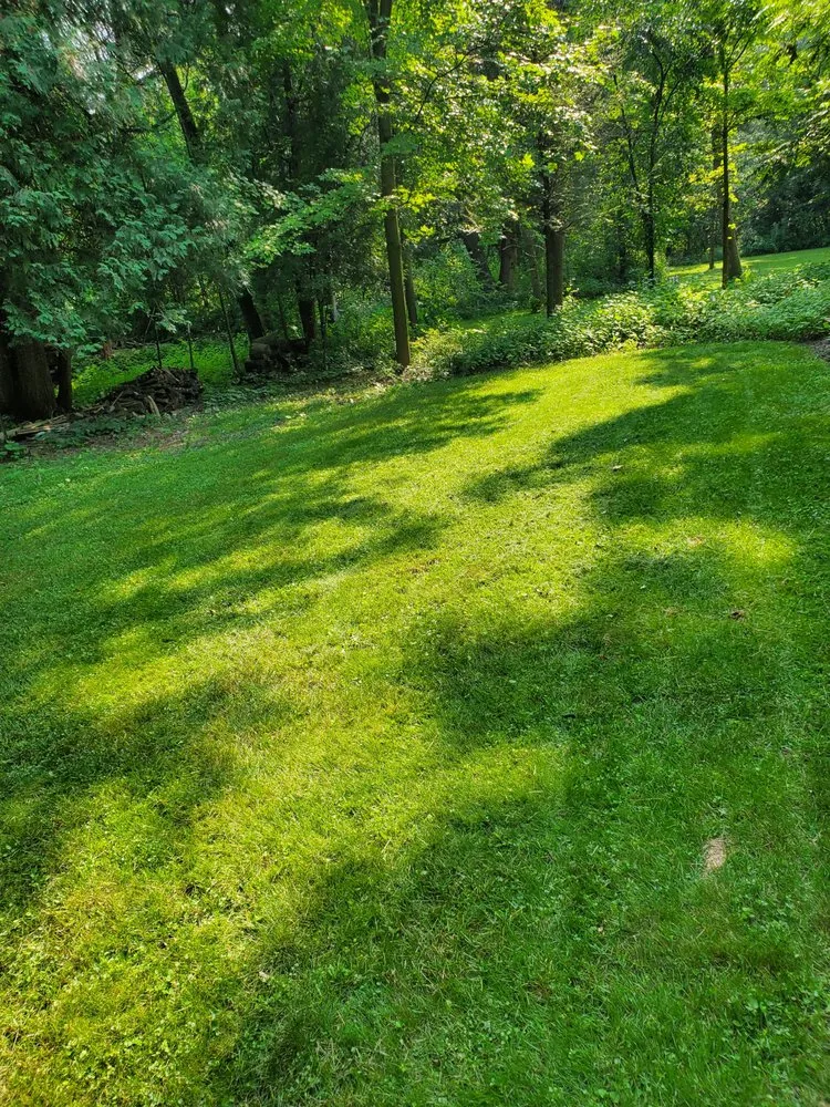 Trusted landscape design in New Holstein, WI by Johanning's Just About Anything