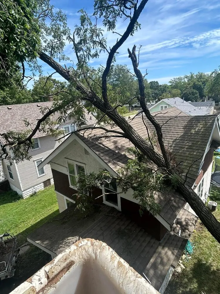 Professional landscape design experts serving Osage, IA - Johanns Tree Services & More