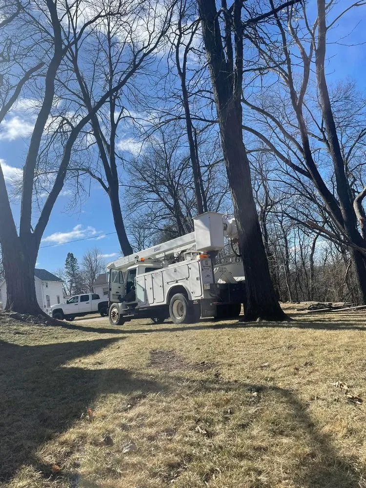 Top-rated garden landscaping experts serving Osage, IA - Johanns Tree Services & More