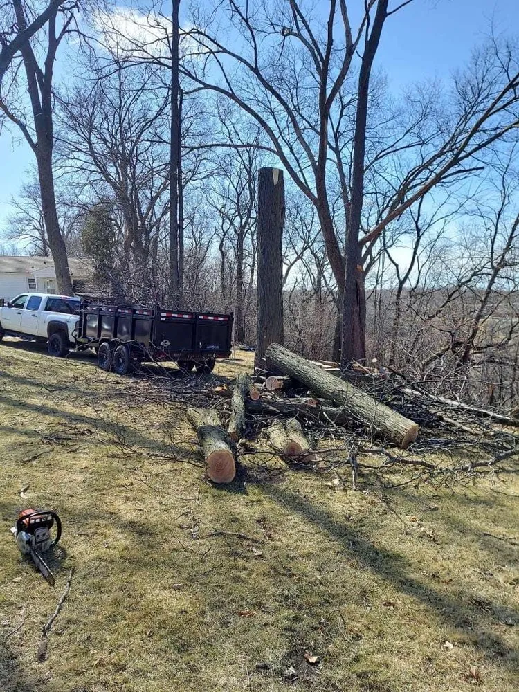 Trusted landscape design experts serving Osage, IA - Johanns Tree Services & More