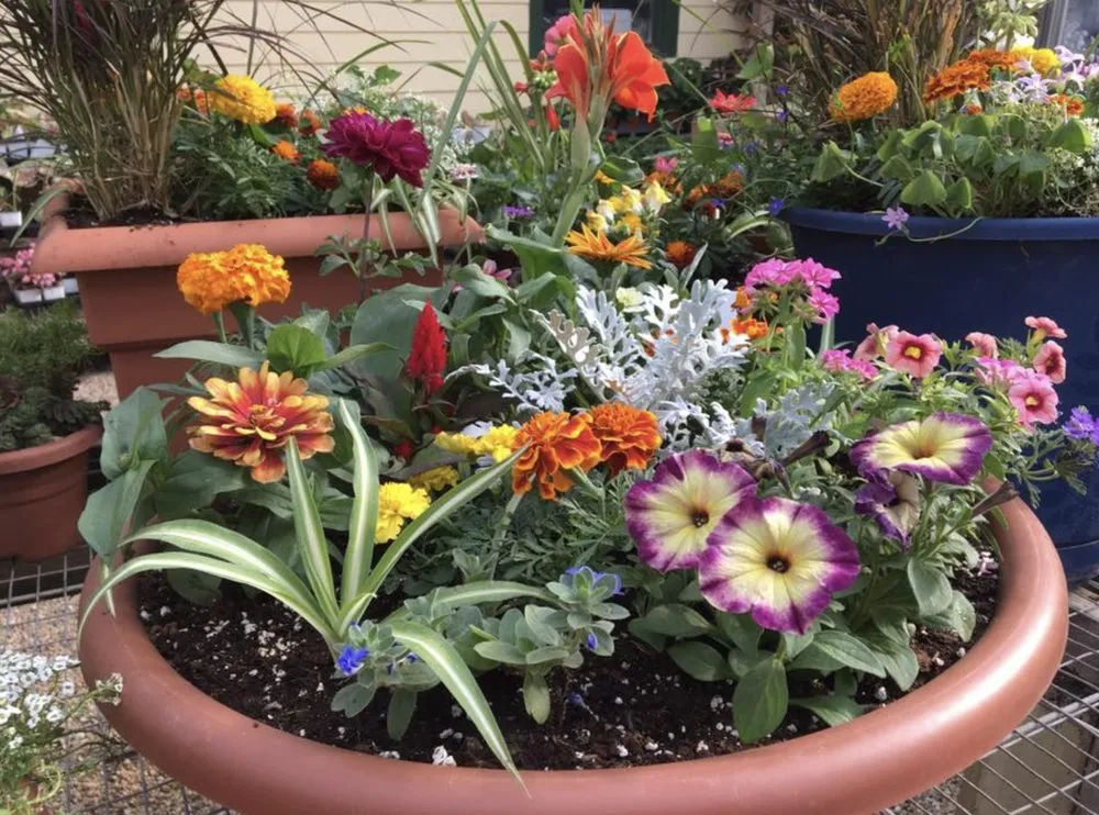 Professional landscape design experts serving Big Spring, TX - Johansen Landscape & Nursery