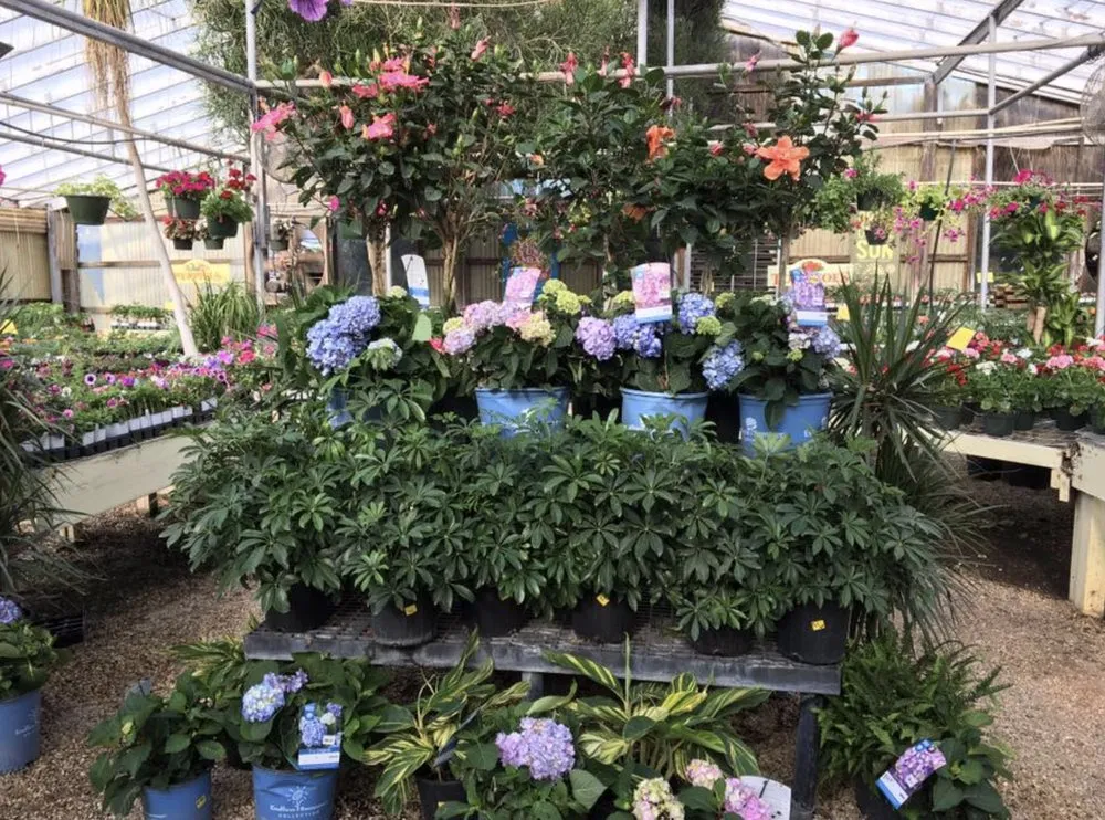 Trusted landscape design in Big Spring, TX by Johansen Landscape & Nursery